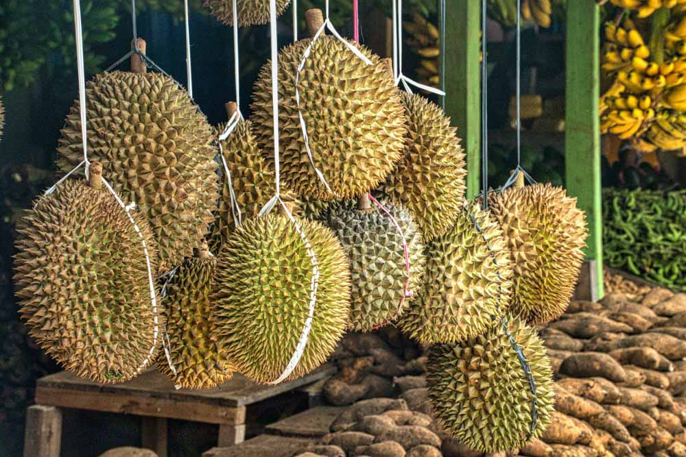 Durian fruit hanging in an open-air market stall.