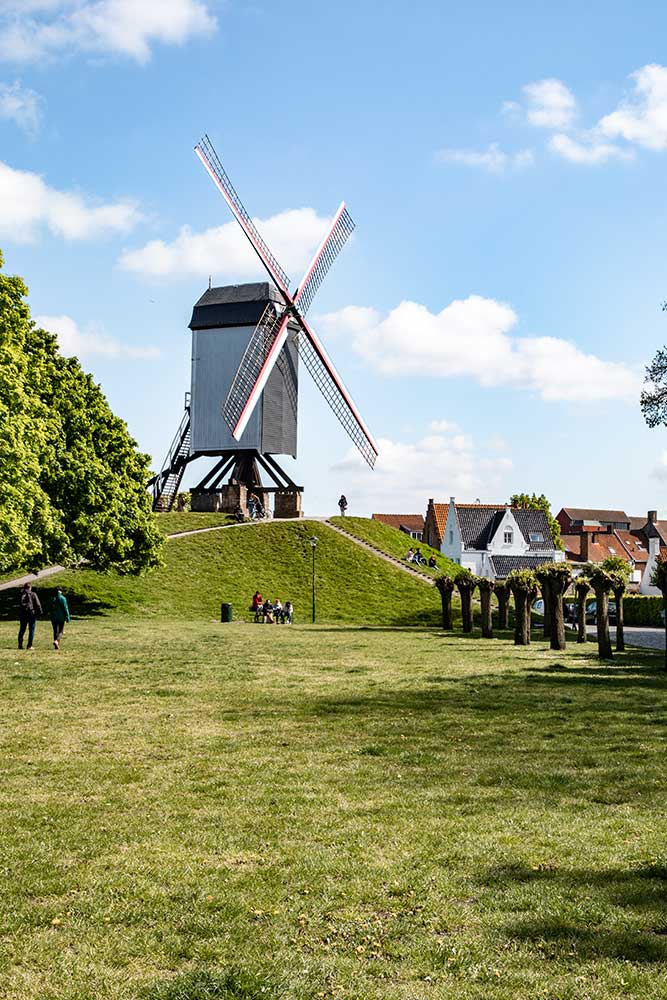 Bruges windmills Belgium