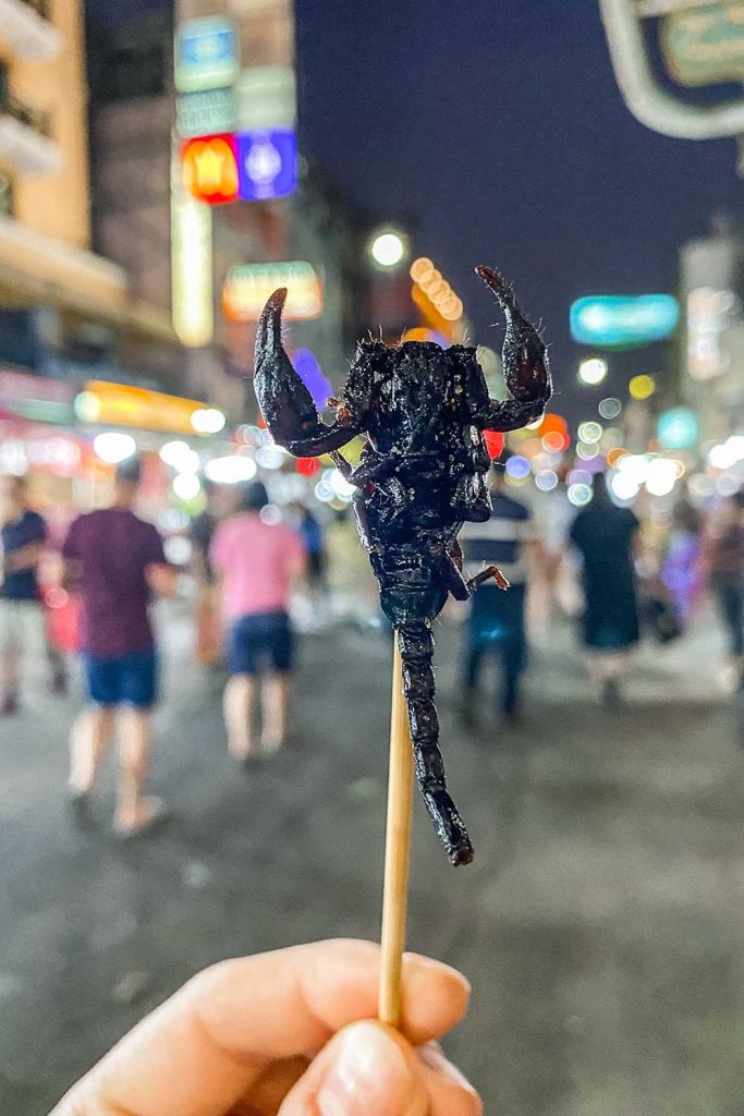 person holding a fried scorpion on a stick in front of khao san road in Bangkok