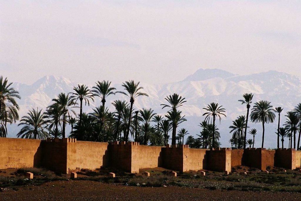 agdal gardens in marrakech