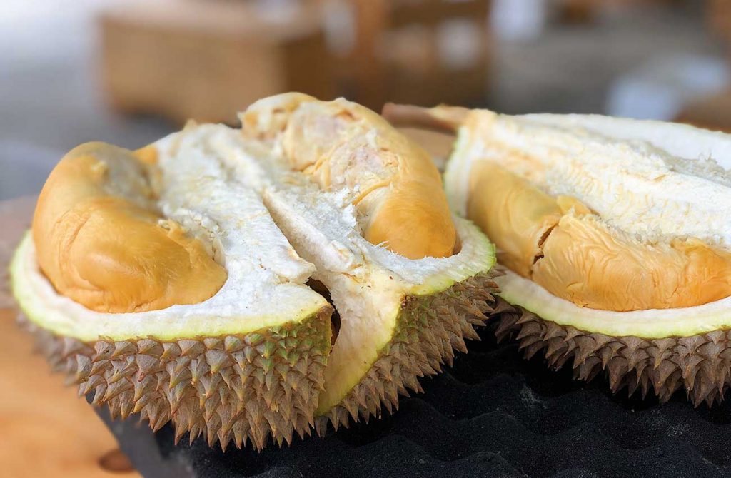 durian in singapore