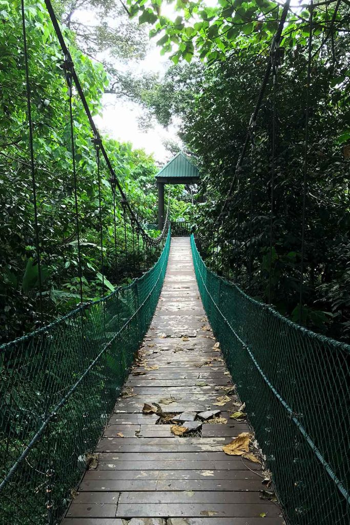 KL Forest Eco Park