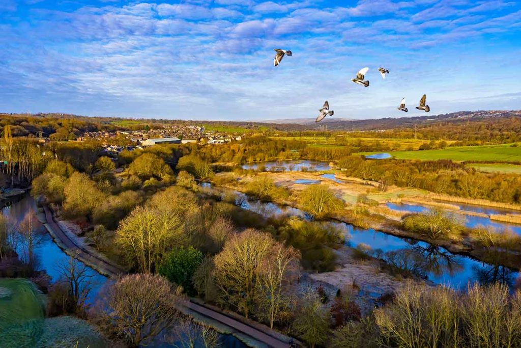 Rodley Nature Reserve in Leeds