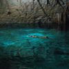 21 Best Cenotes in Tulum and How To Visit Them