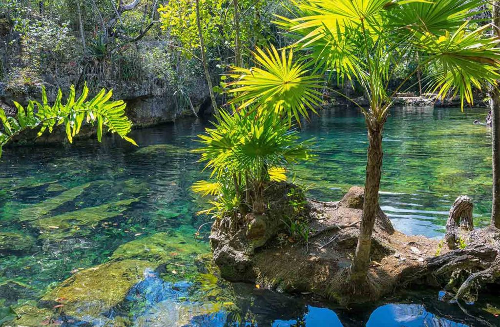 Cenote Xunaan-Ha Akumal Cenote