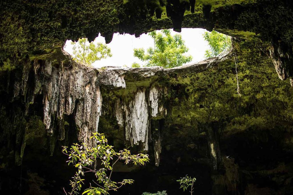 what is a cenote