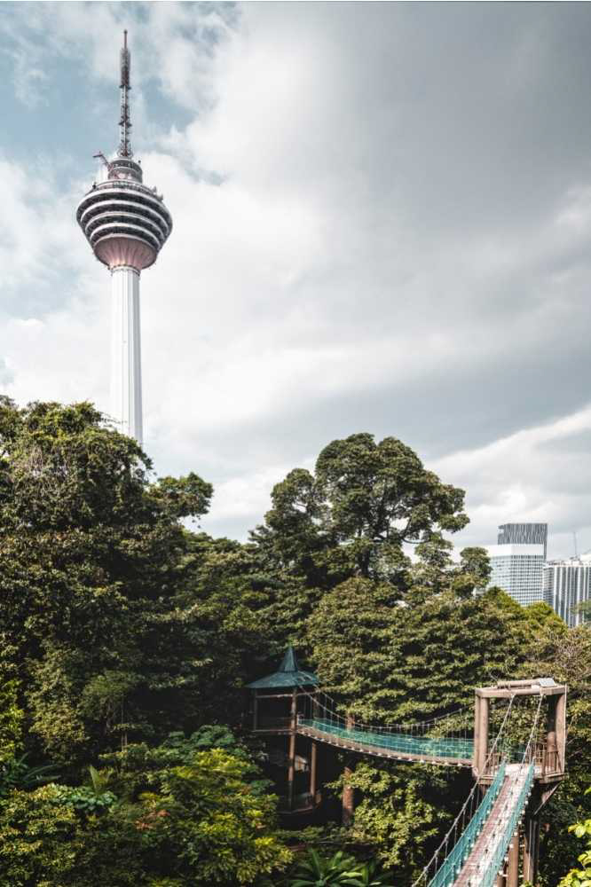 The KL Tower as seen from the Eco Forest Park in Kuala Lumpur.